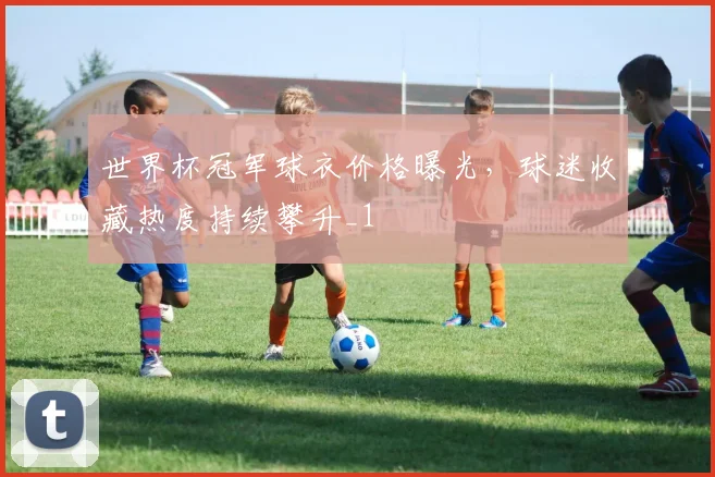 世界杯冠军球衣价格曝光,球迷收藏热度持续攀升_1