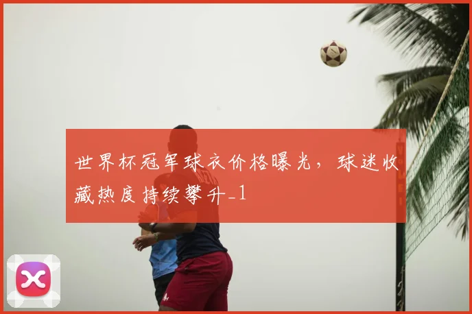 世界杯冠军球衣价格曝光,球迷收藏热度持续攀升_1