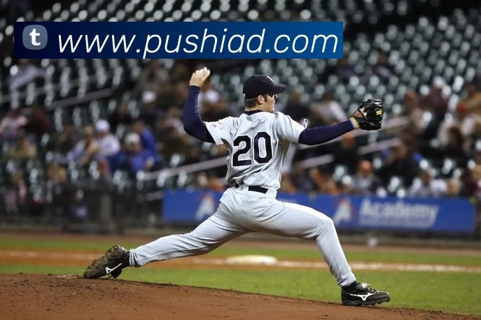 App Interface Preview